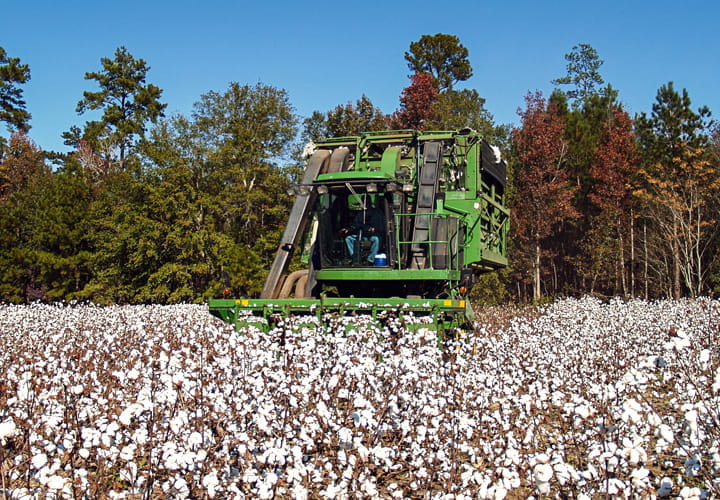 采棉机轮胎 | 特瑞堡轮胎