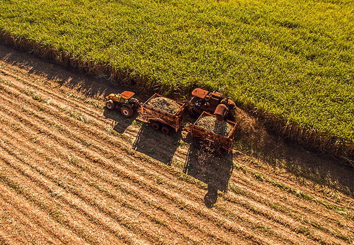 甘蔗收割机轮胎 | 特瑞堡轮胎